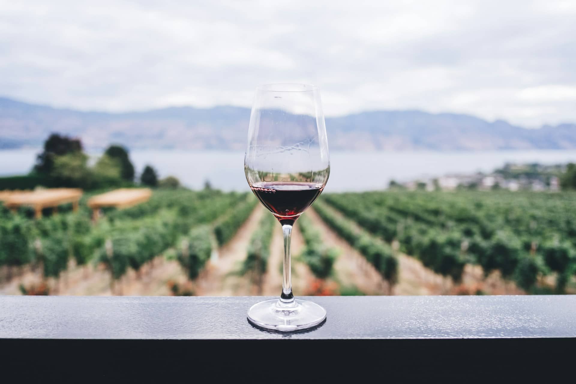 Fazem Vinho Dentro de um Vulcão — e É a Melhor Coisa Que Alguma Vez Vai Provar Wine